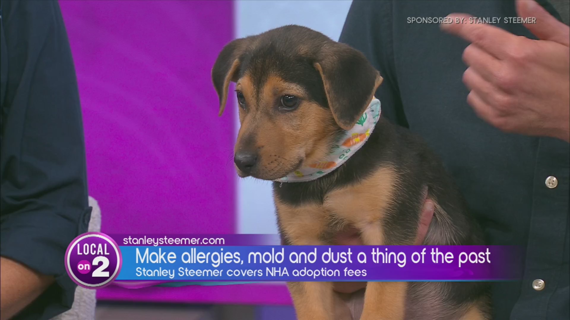 Move over carpets, Stanley Steemer is all about Ducts and Dogs! WKRN