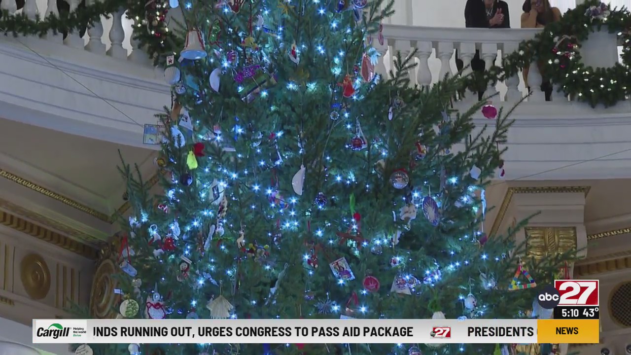 Capitol tree lighting