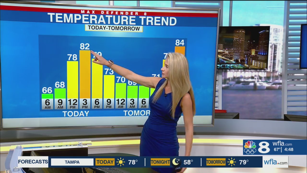 Warm & dry start to the week, cold front arrives Wednesday – WFLA