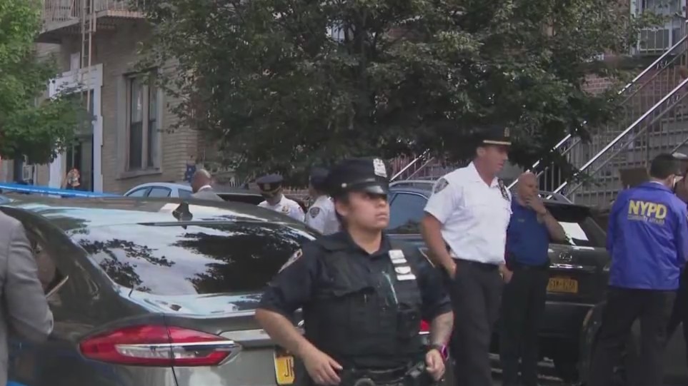 Man charged with killing Brooklyn mom in hammer attack was sharing ...