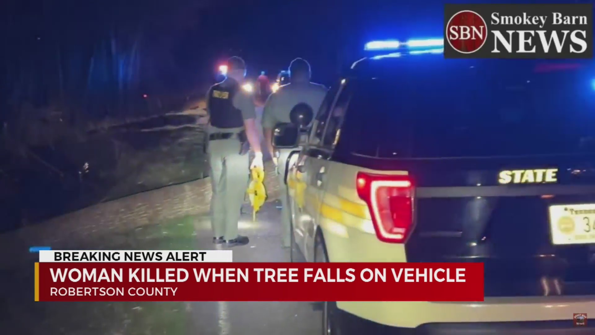 Woman killed after tree falls on vehicle in Springfield – WKRN News 2