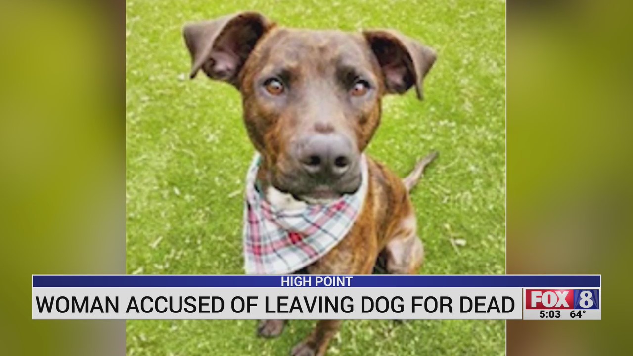 Woman accused of leaving dog for dead in High Point – FOX8 WGHP