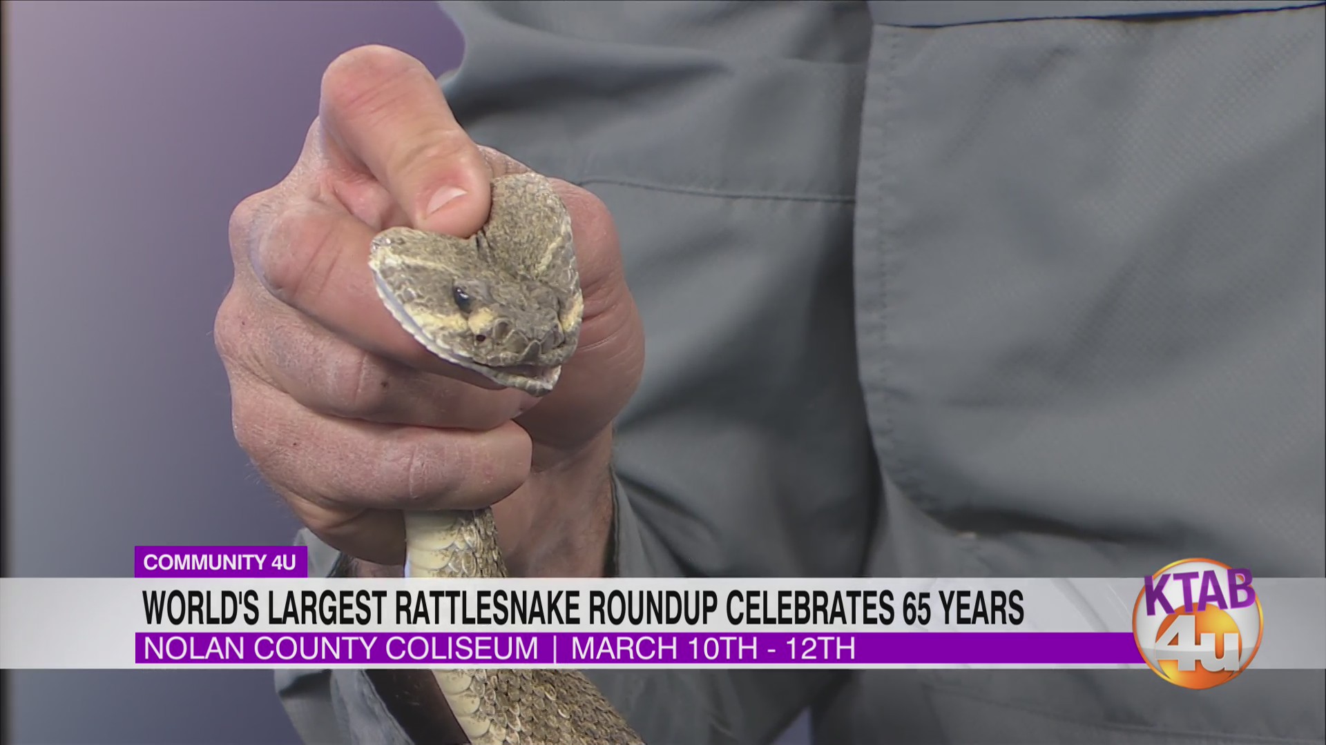Rattlesnakes visit KTAB 4u for The 65th Annual World’s Largest ...