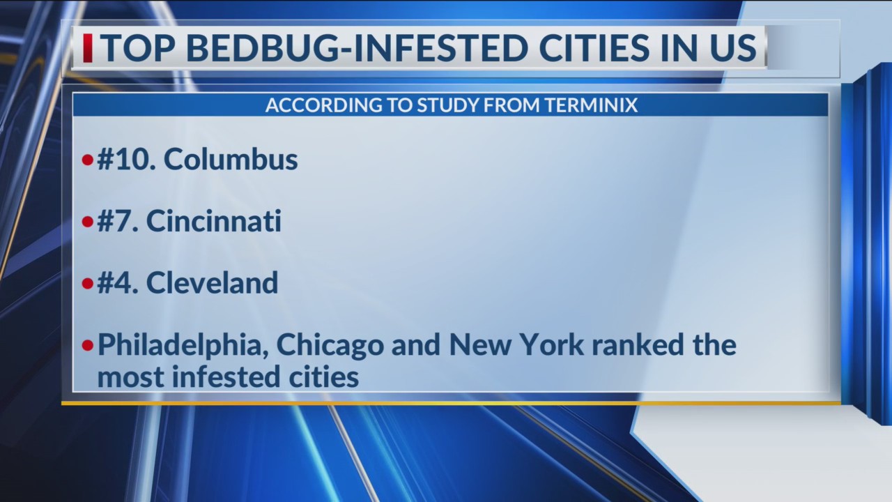 Where Columbus ranks in top bedbuginfested cities NBC4 WCMHTV