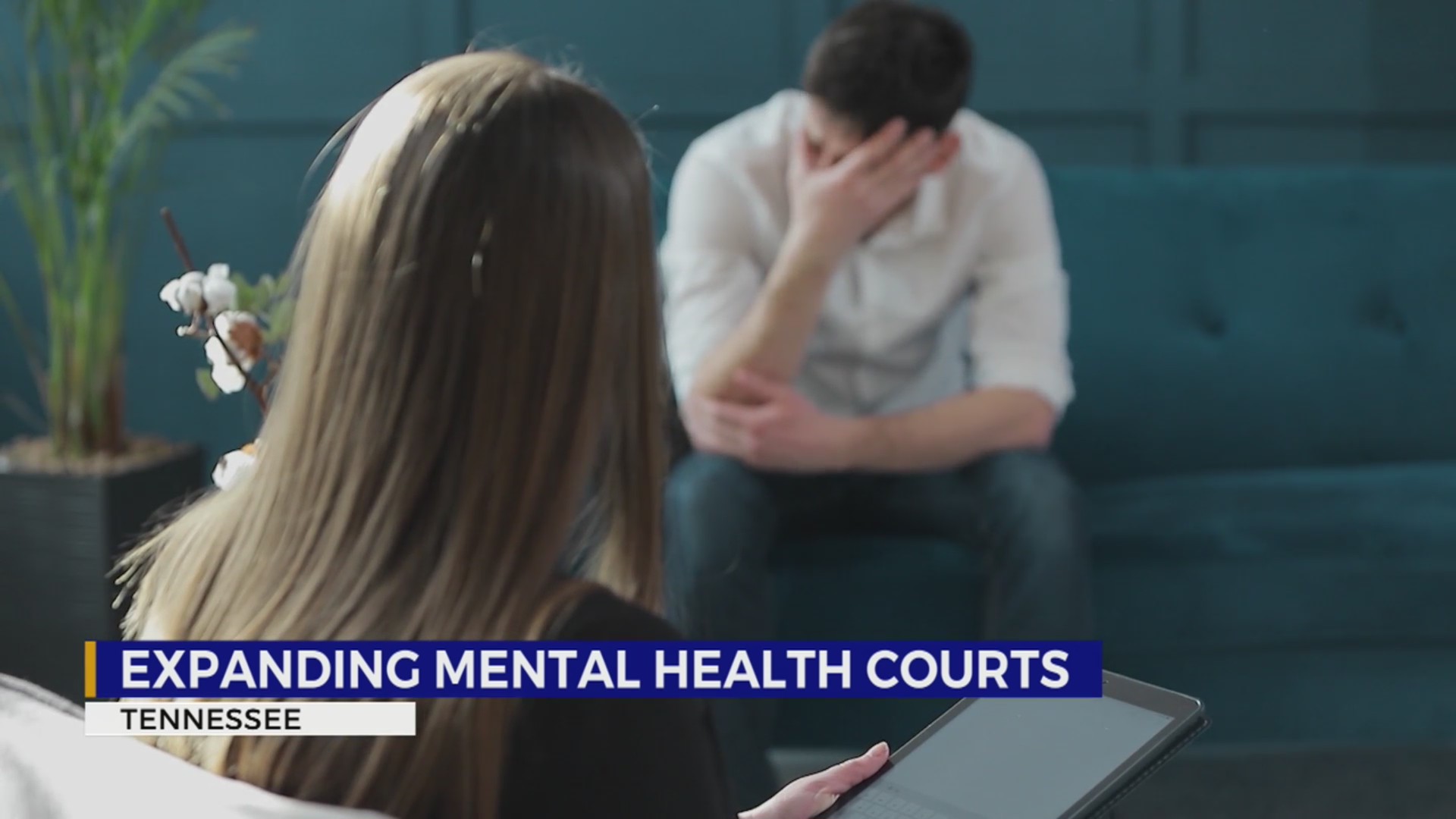 Clarksville celebrates state’s newest mental health court WKRN News 2