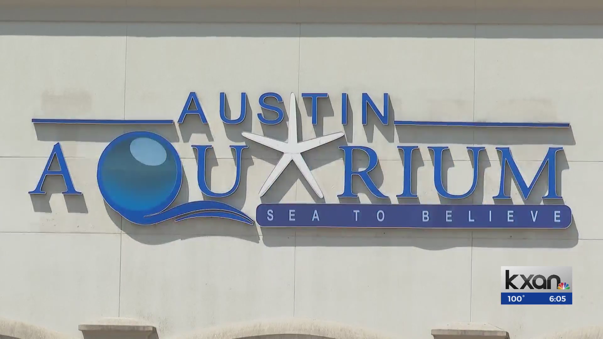 Austin council member wants to make zoos, aquariums safer following