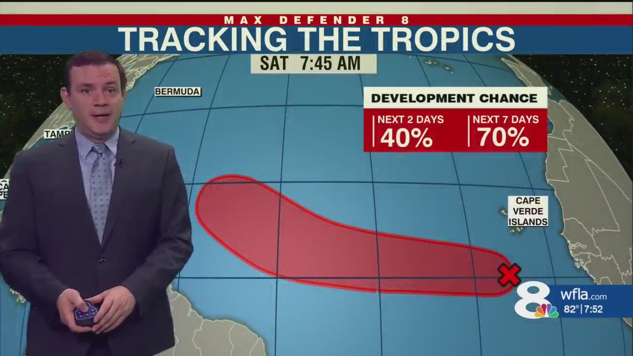 Tropical depression has high chance of forming next week, NHC says – WFLA