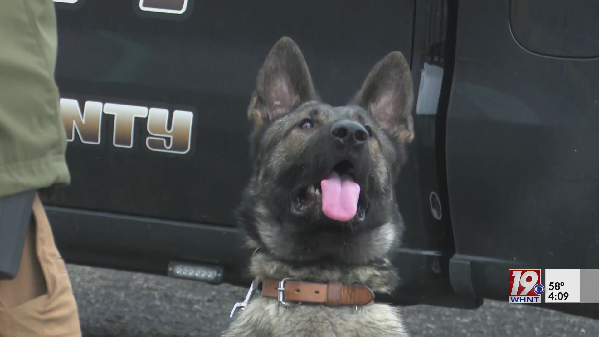Marshall County Sheriff’s Office Gets New K-9 Unit – WHNT.com