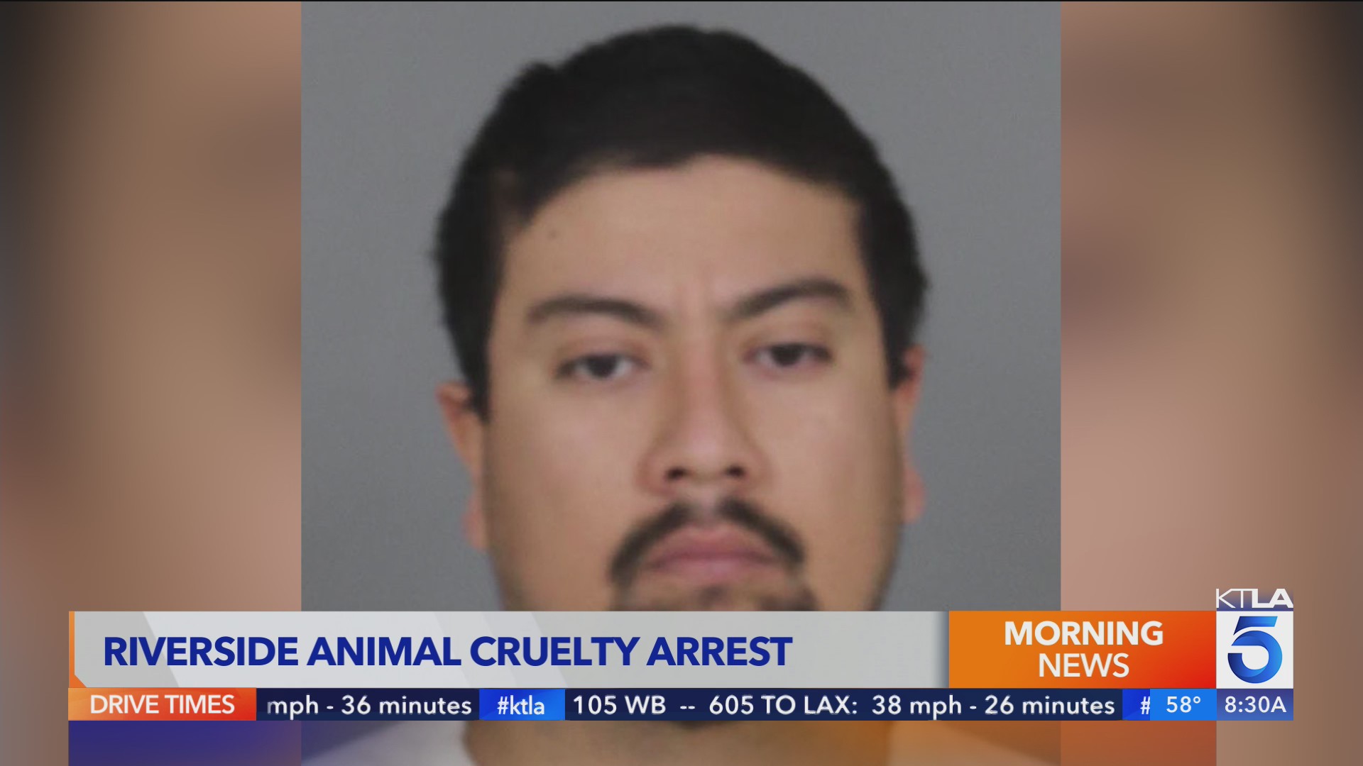 Man arrested after being seen on video tossing dog over fence in ...