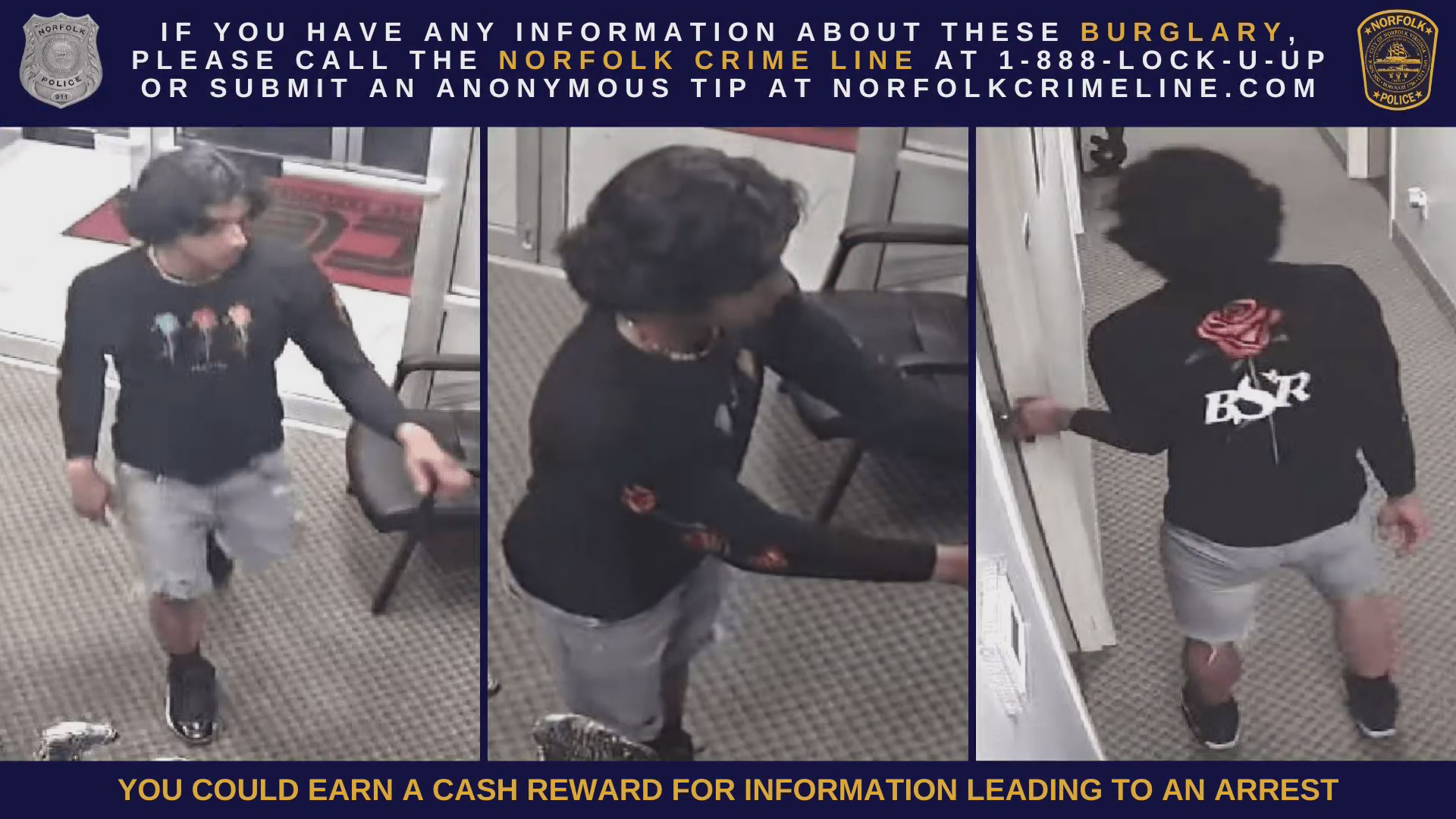 Norfolk police search for suspect in connection to burglary of 2 ...