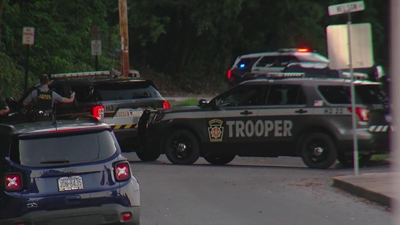 Man arrested after allegedly shooting two dogs, firing gun at woman ABC27