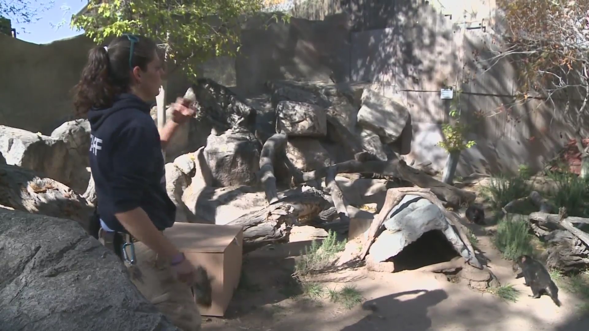 Albuquerque summer programs are making a comeback KRQE NEWS 13