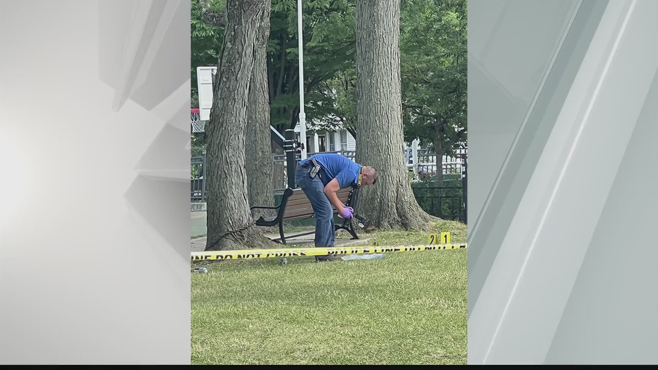 Albany PD investigating Madison Avenue shooting – NEWS10 ABC