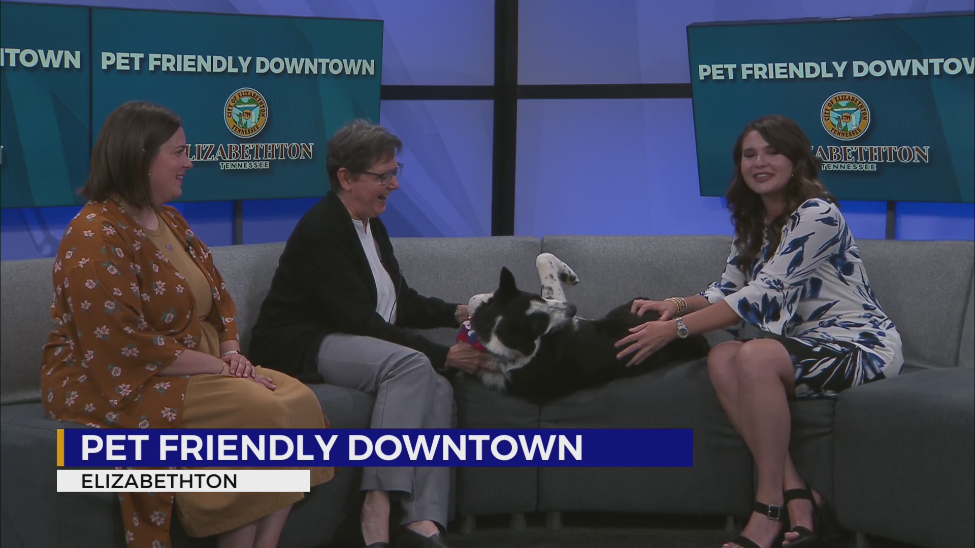 Main Street Elizabethton launches “Pet Friendly Downtown” – WJHL | Tri ...